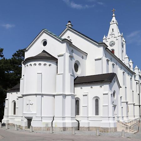 Villa Pazelt Top2 Bad Voeslau Εξωτερικό φωτογραφία