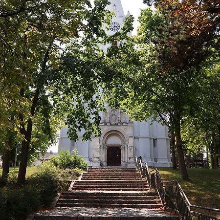 Villa Pazelt Top2 Bad Voeslau Εξωτερικό φωτογραφία